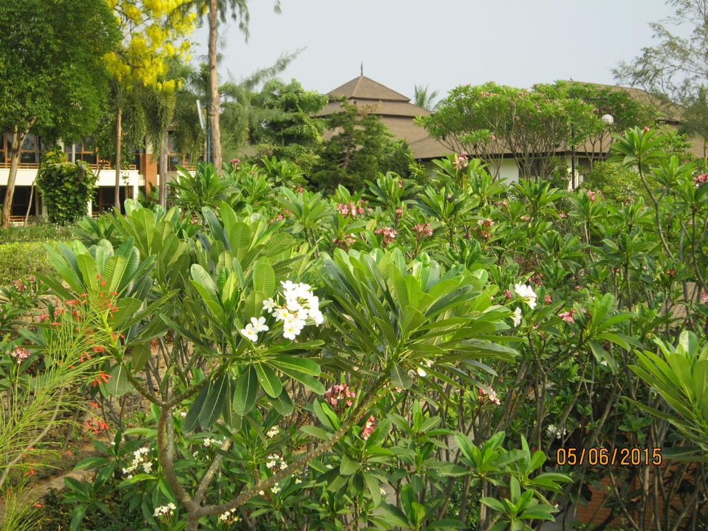 באגאן Aye Yar River View Resort מראה חיצוני תמונה